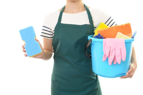 Cleaners Surrey providing professional home cleaning services
