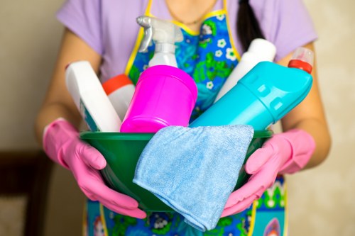 Professional carpet cleaning service for Surrey homes and family properties