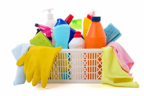 Pet odour removal process for carpets in Surrey properties