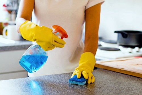 Professional cleaners completing a task with health and safety precautions in place