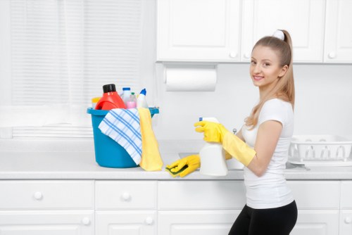 Local regular cleaning service for Surrey homes and businesses