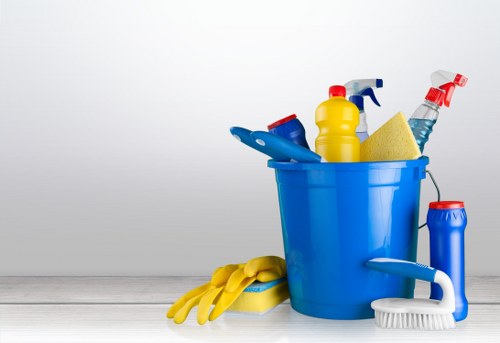Professional oven cleaning service for Surrey homes