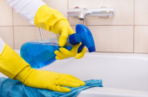Detailed bathroom cleaning during a move-out clean in Surrey