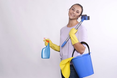 Local Surrey technician treating pet stains on upholstery and rugs