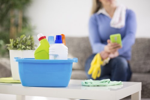 Deep cleaning treatment for pet urine odours in a Surrey home