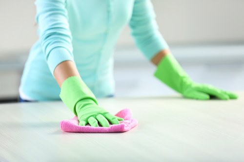 Cleaner reviewing health and safety procedures before starting work