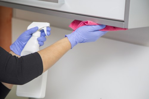 Surrey oven cleaning for domestic and commercial customers